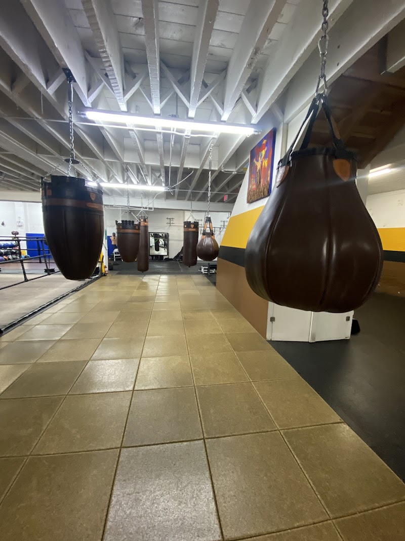 Solis Boxing photo 3