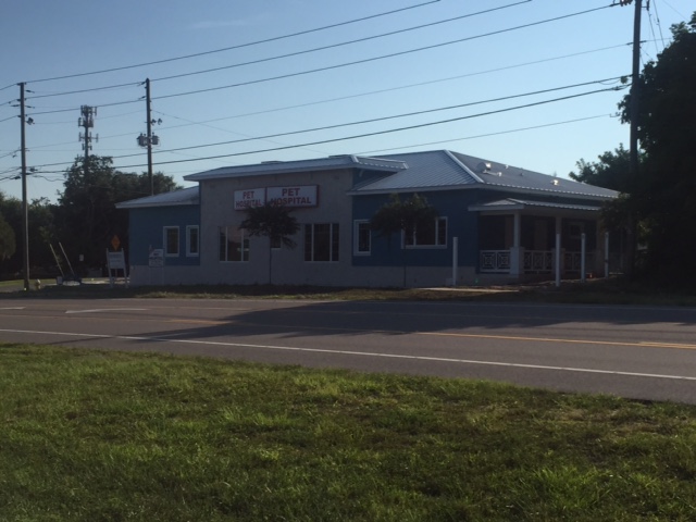 Day & Evening Pet Hospital & Surgical Center photo 4