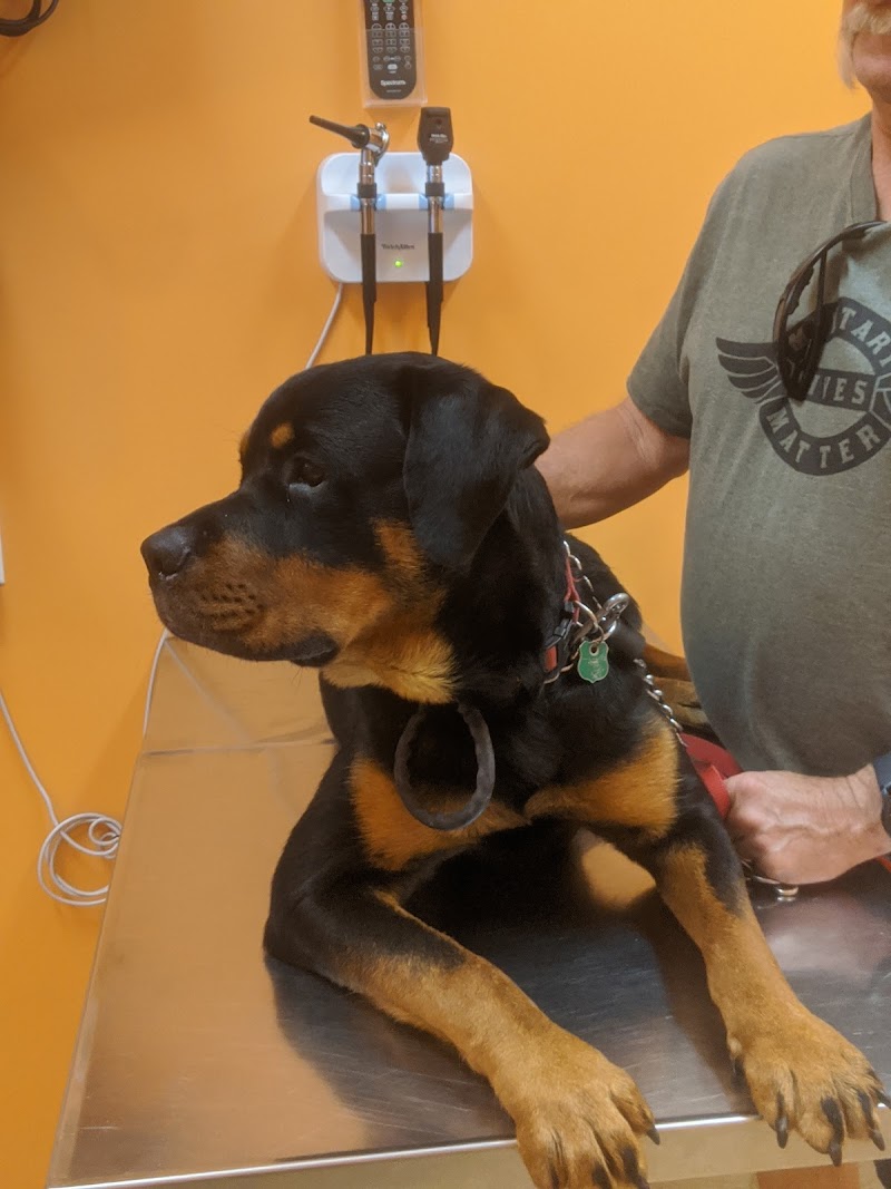 Day & Evening Pet Hospital & Surgical Center photo 2