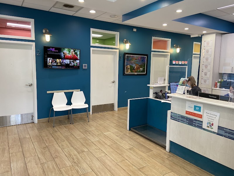 Day & Evening Pet Hospital & Surgical Center photo 3
