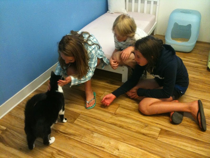 Kitty Charm School photo 5