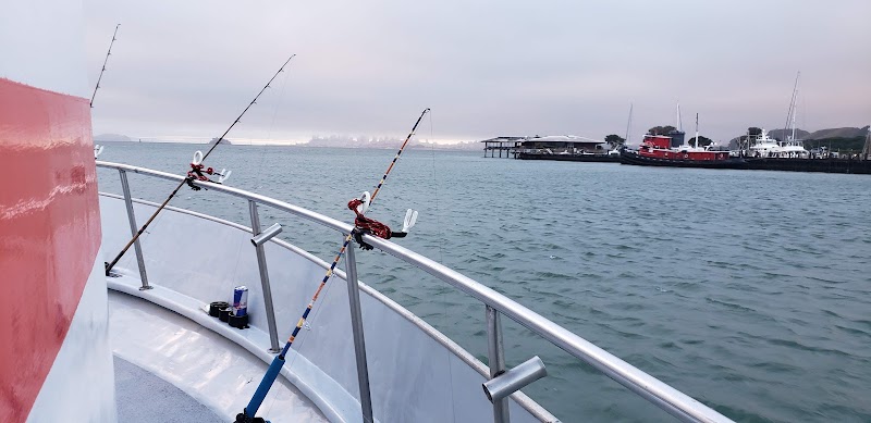 Salty Lady Sportfishing photo 4