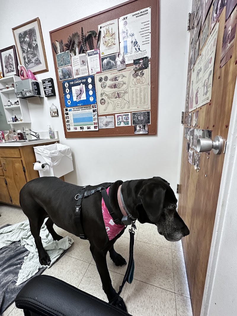Canyon Veterinary Hospital photo 2