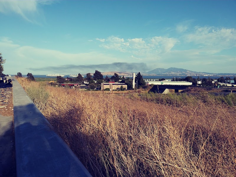 Suisun Bay Reserve Fleet Vista Point photo 2