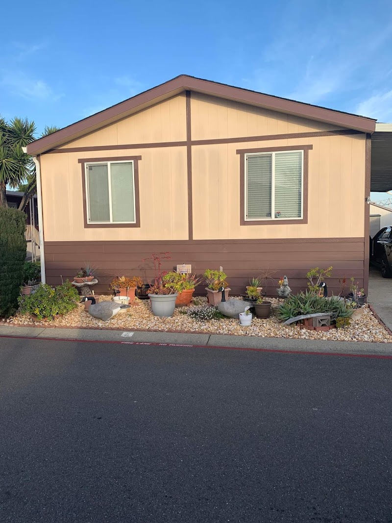Pueblo Springs Mobile Home Park photo 5
