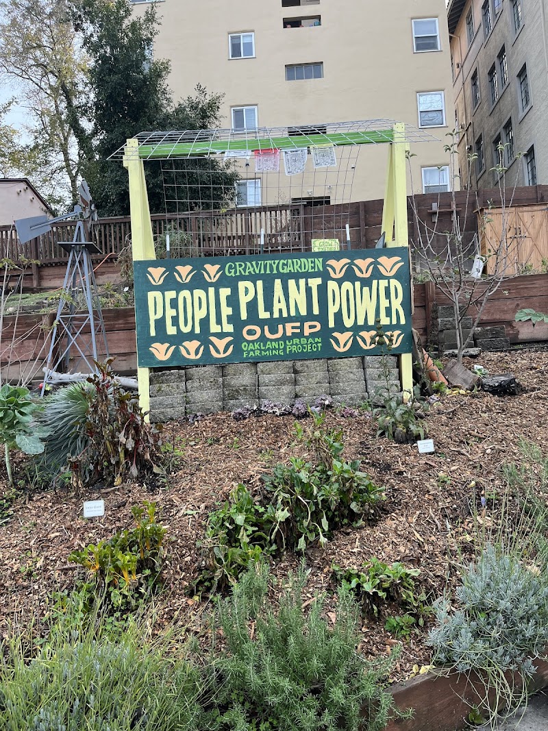 Gravity Garden: Free Pantry / Oakland Urban Garden photo 4