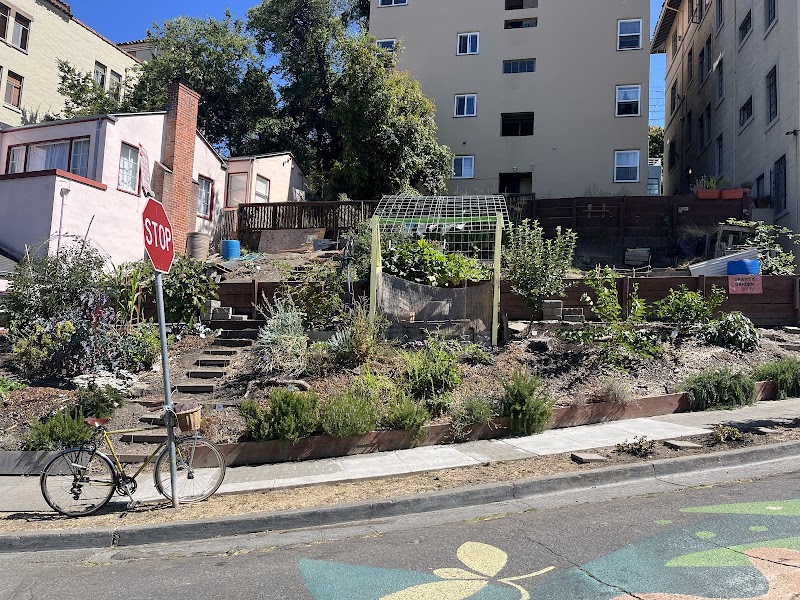 Gravity Garden: Free Pantry / Oakland Urban Garden photo 5