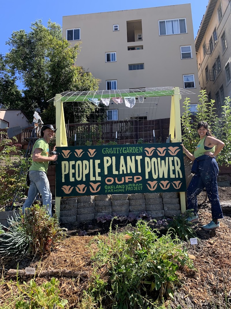 Photo of Gravity Garden: Free Pantry / Oakland Urban Garden