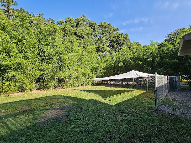Photo of Bamboo Dog Resort