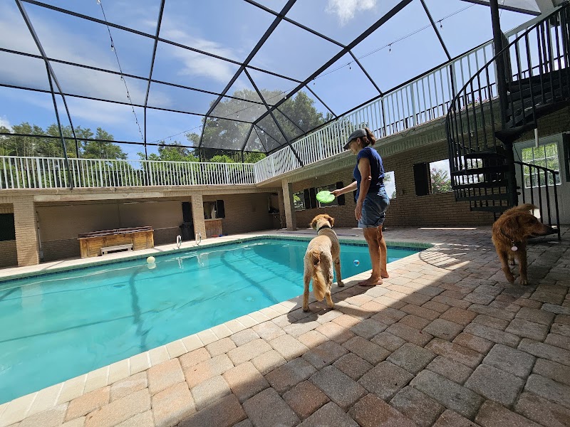 Bamboo Dog Resort photo 3
