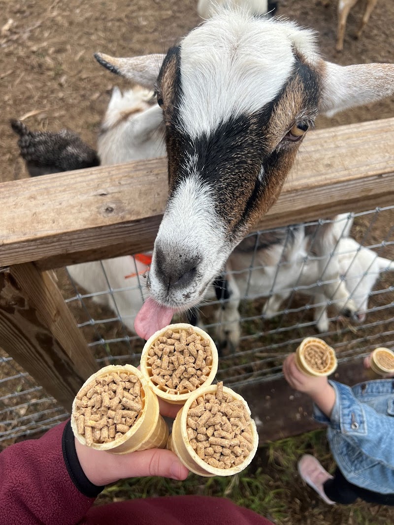 Lithia Springs Farm photo 3