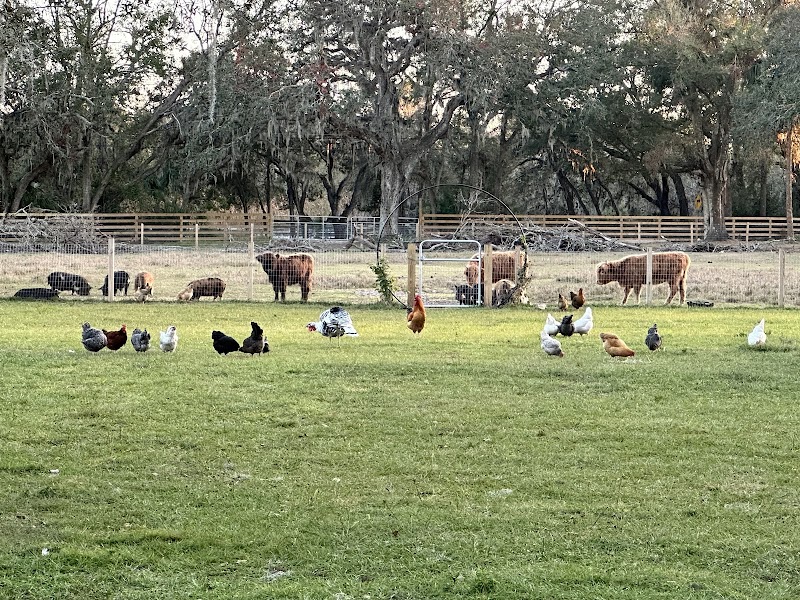 Lithia Springs Farm photo 2