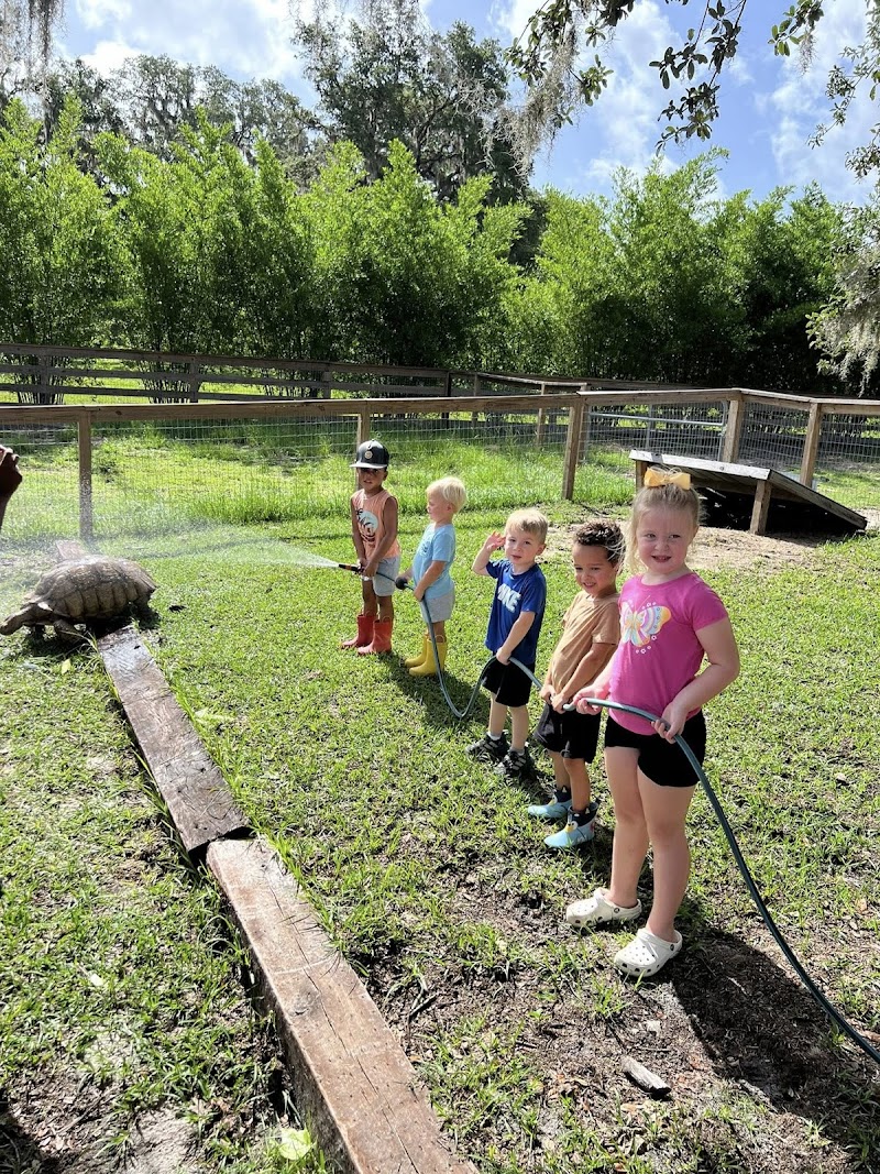 Lithia Springs Farm photo 4