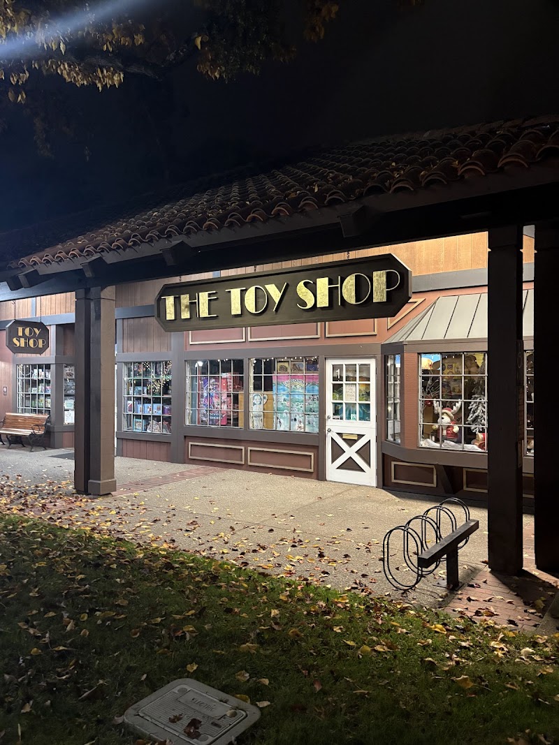 The Toy Shop photo 3