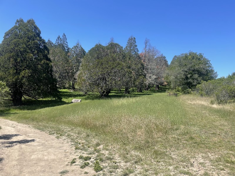Berkeley Rotary International Peace Grove photo 2