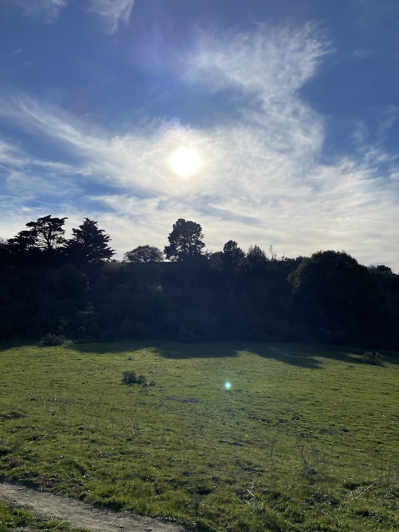Berkeley Rotary International Peace Grove photo 4