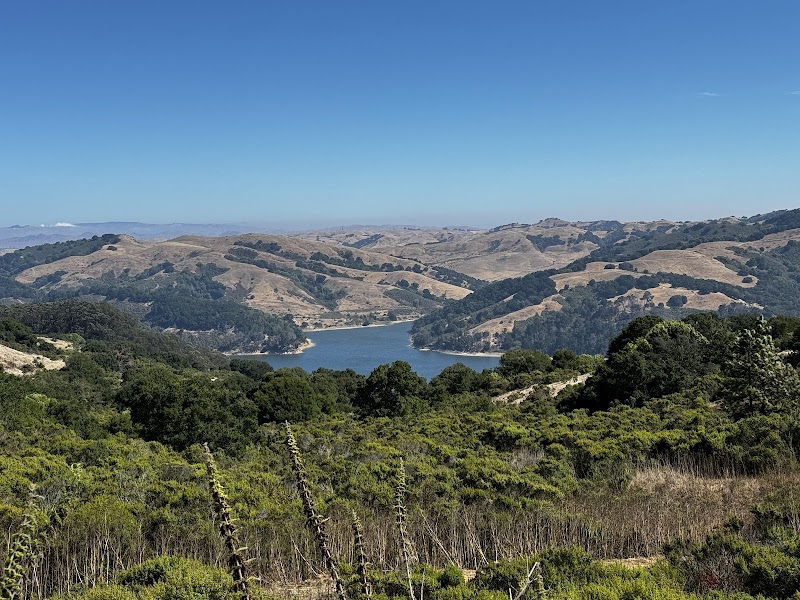 Photo of Berkeley Rotary International Peace Grove