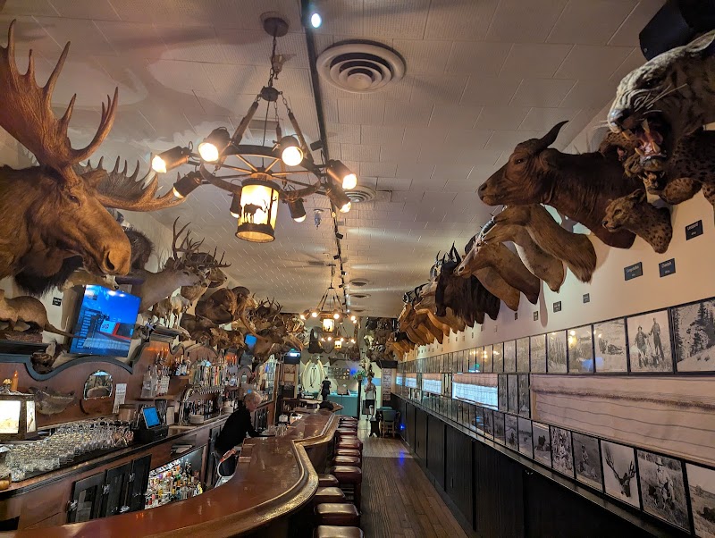Foster's Bighorn photo 5