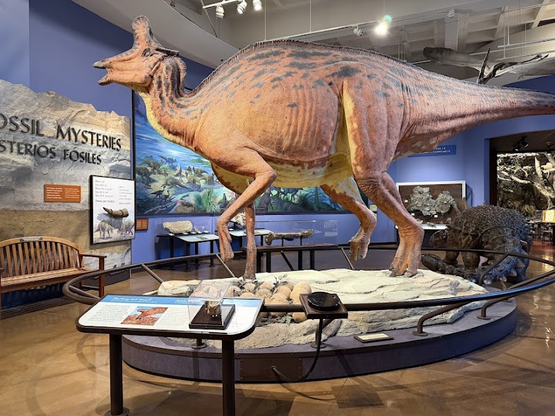 Photo of San Diego Natural History Museum