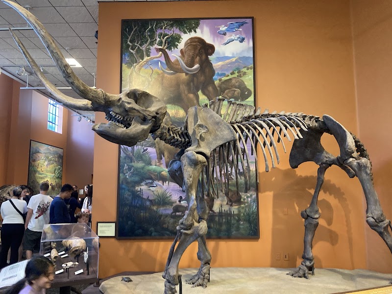 San Diego Natural History Museum photo 4