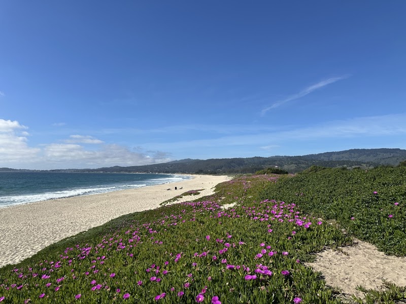 Half Moon Bay Coastal Trail photo 5