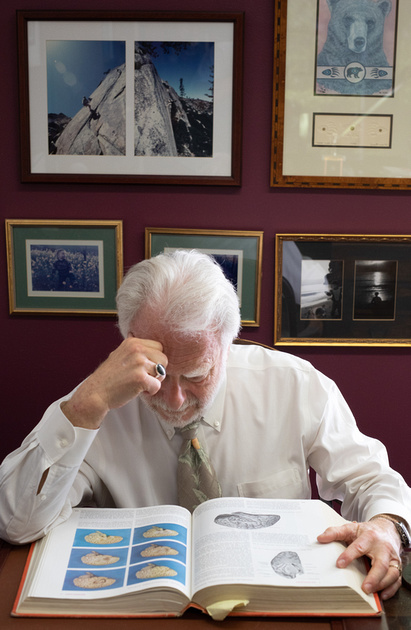 The Harte of Chiropractic, P.C. photo 4