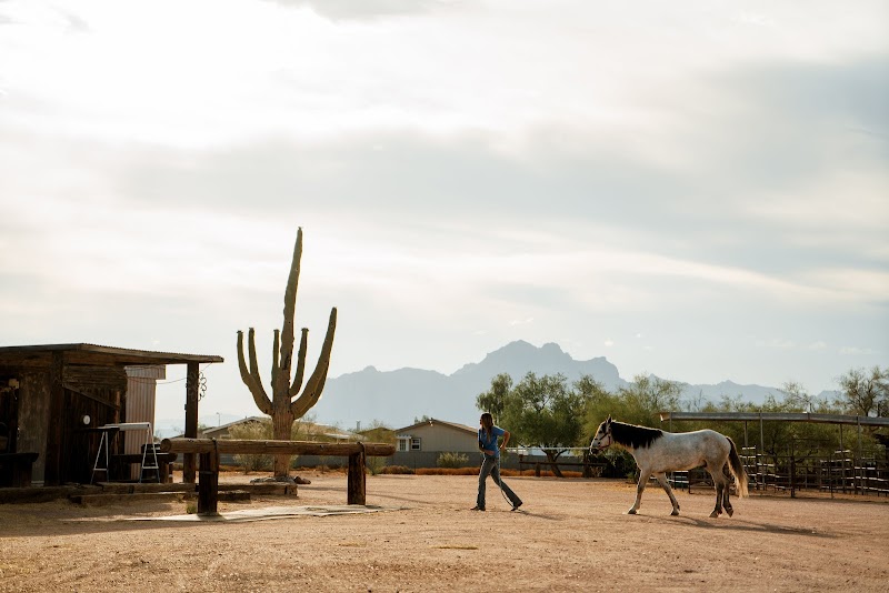 Superstition Stables Horse Boarding photo 5
