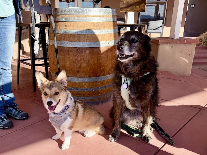 Four Tails Tasting Room photo 4