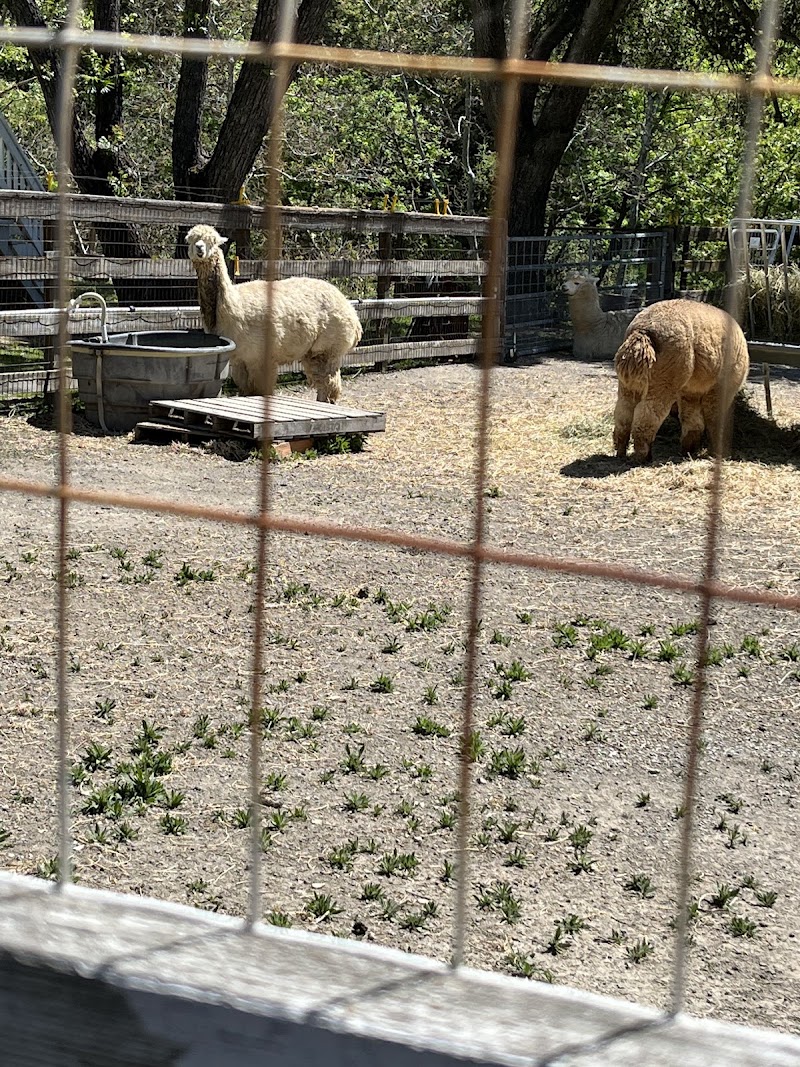 Photo of Finley Farm Kennels
