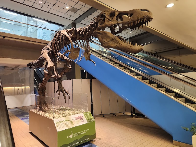 Pittsburgh International Airport photo 2