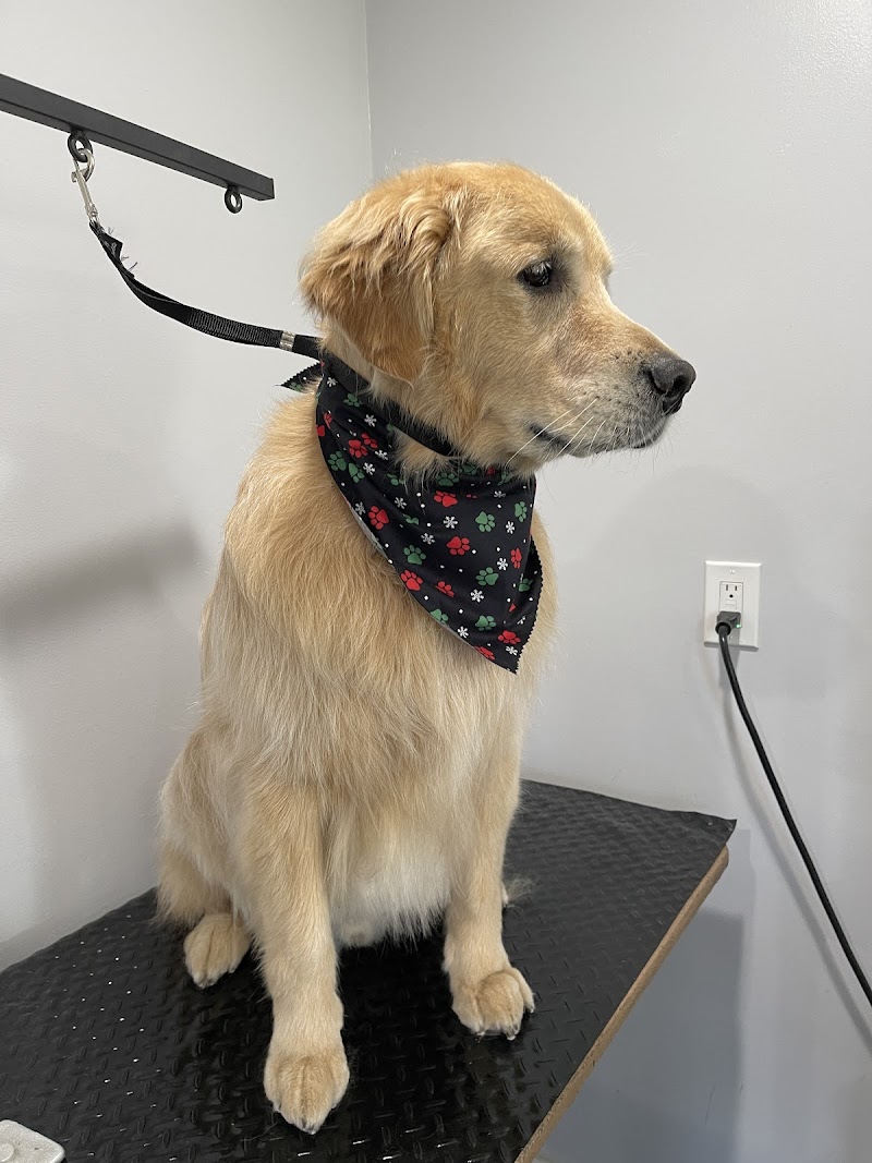 Toby's Grooming Place photo 2