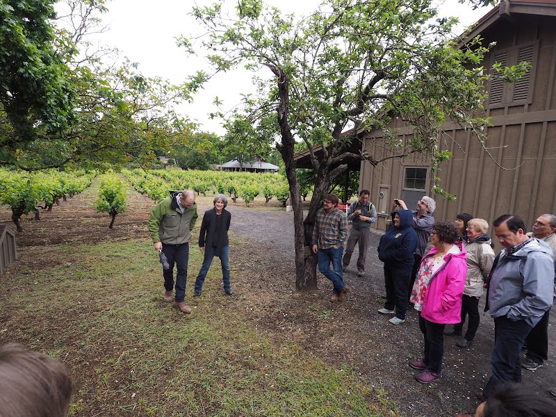 Carlisle Winery & Vineyards photo 3