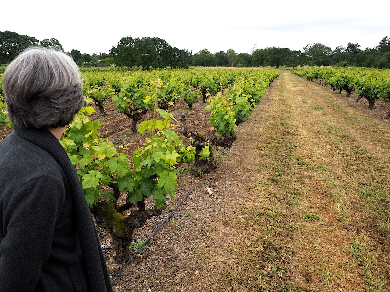 Carlisle Winery & Vineyards photo 2