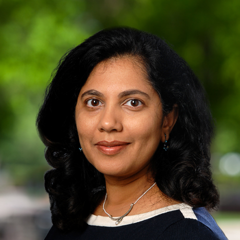 Photo of Gopi D. Desai, M.D.