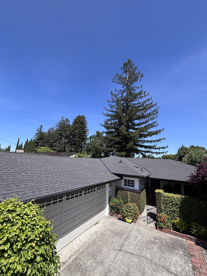 Lucid Roofing photo 5