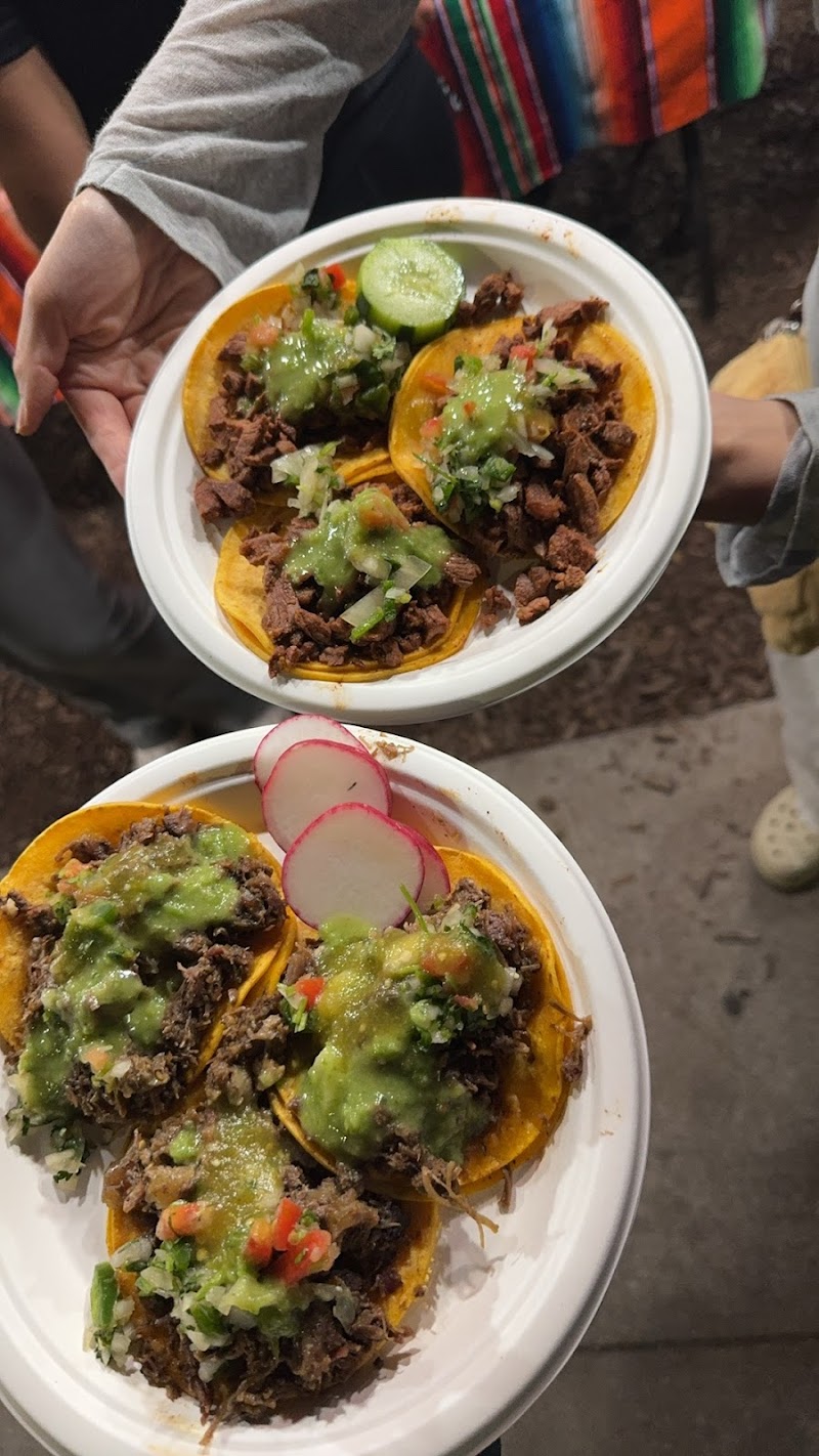 Tacos foods photo 3