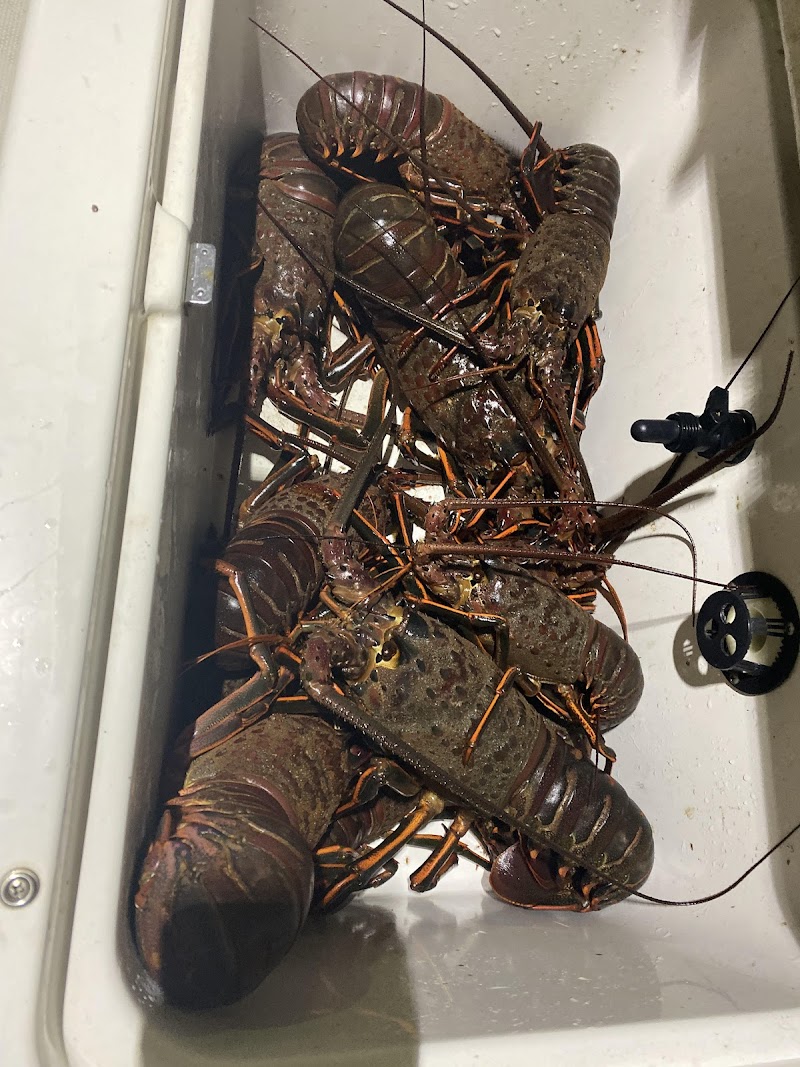 Deepsea-fishing photo 3