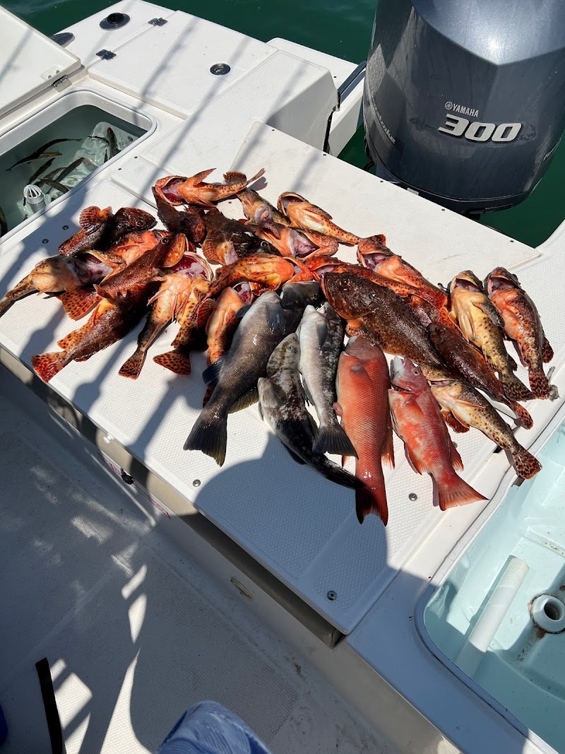 Deepsea-fishing photo 5