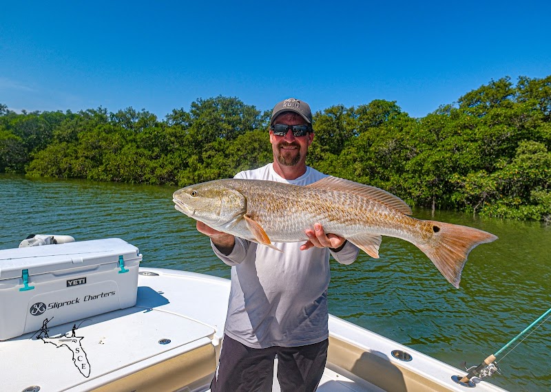 Photo of Suncoast Expeditions