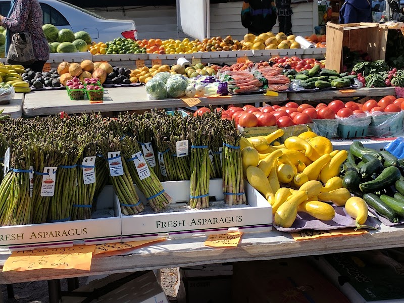 Gulfport Tuesday Fresh Market photo 2