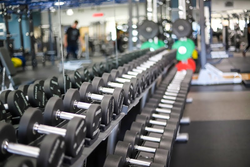 Fitness 19 photo 3