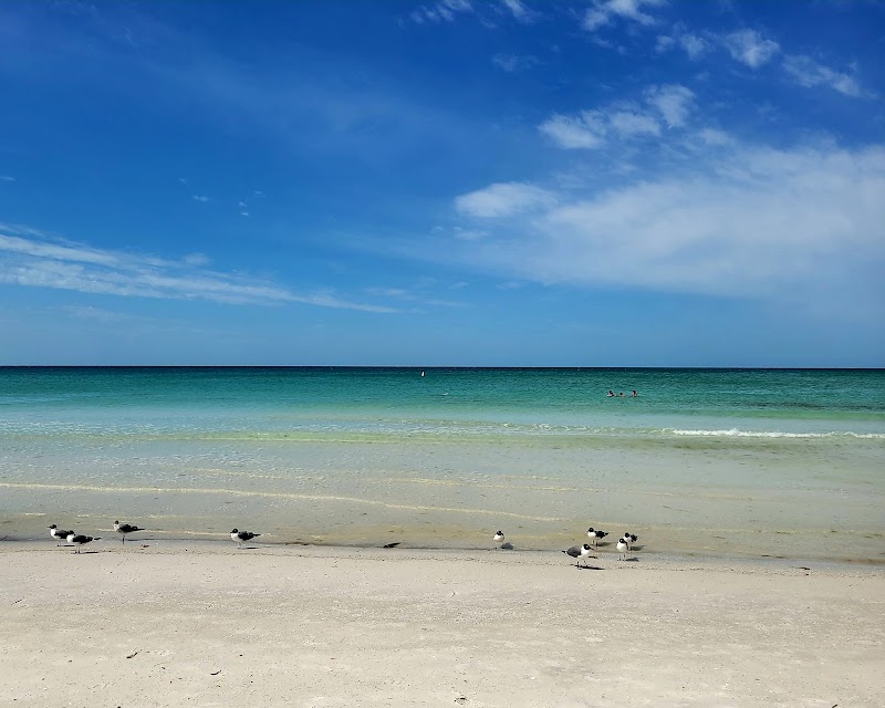 Upham Beach Park photo 4