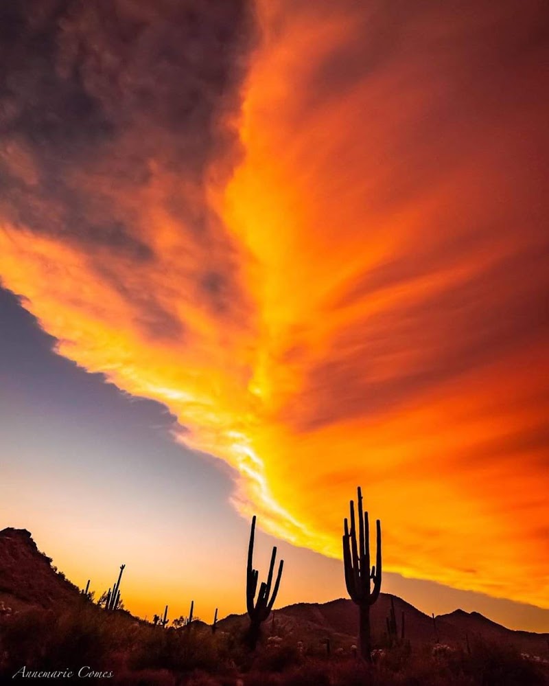 Arizona Premier Insurance - Office of Niqúe Nuñez photo 2