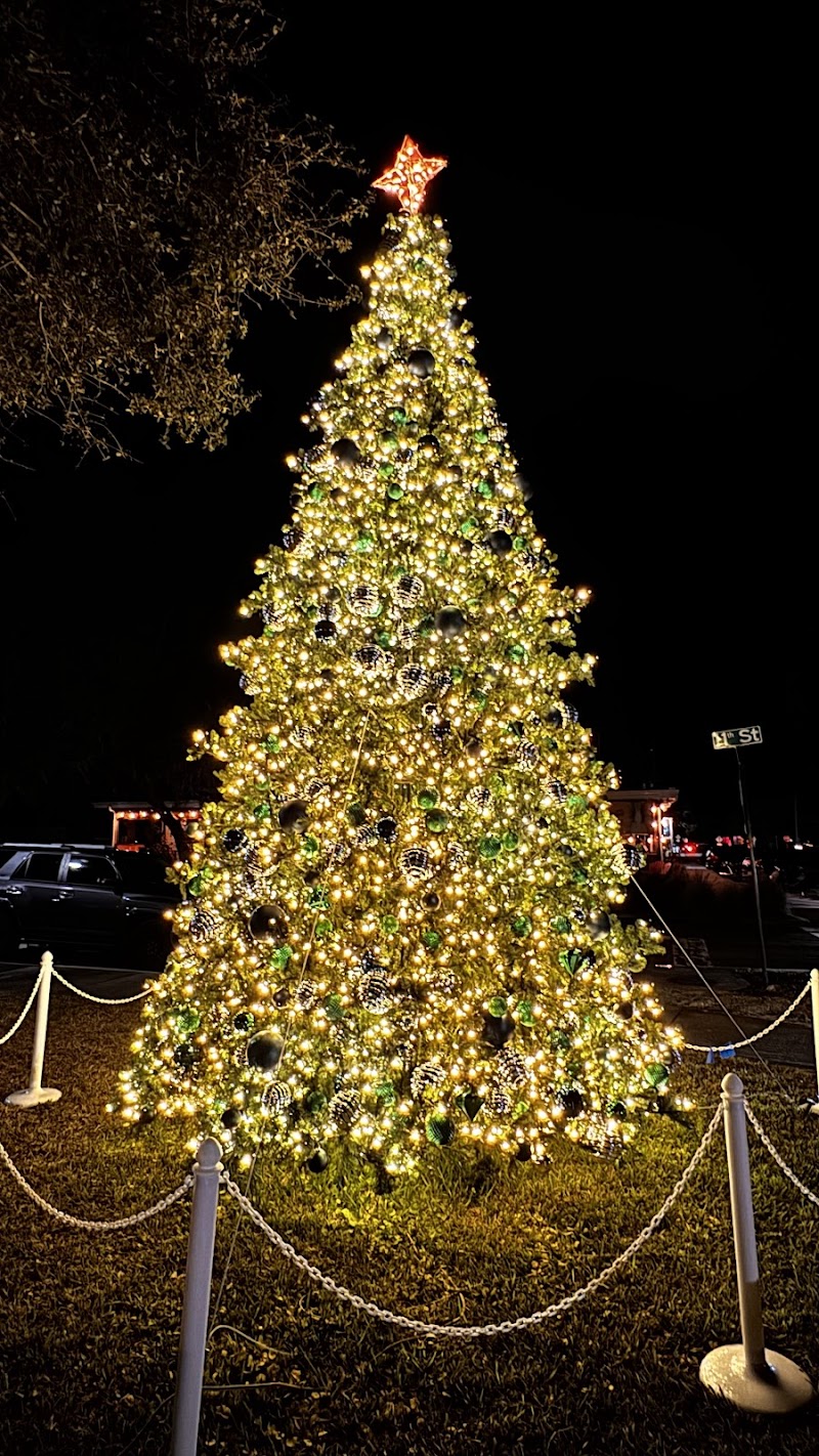Photo of Palm Harbor Main Street