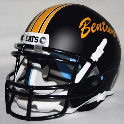 Helmet Memories photo 3