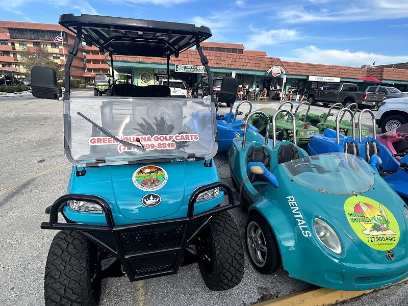 Photo of Green Iguana Rentals