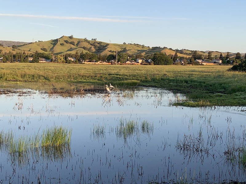 Centennial Park Open Space Preserve photo 4