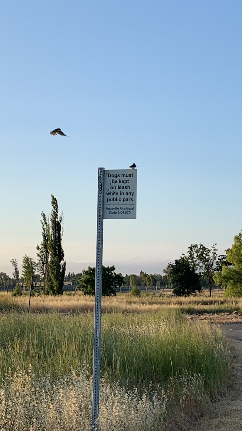 Centennial Park Open Space Preserve photo 3