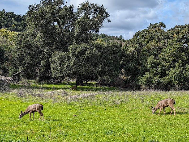 Rancho San Antonio Open Space Preserve photo 2