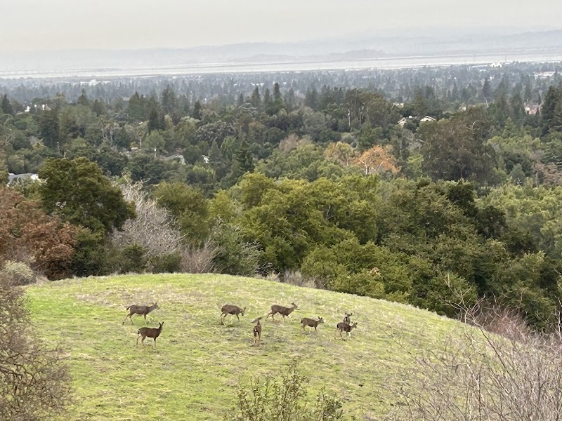 Photo of Rancho San Antonio Open Space Preserve